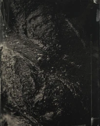 Dark abstract photographic texture with moody tones and organic forms captured in Paris by Franck Hamel.