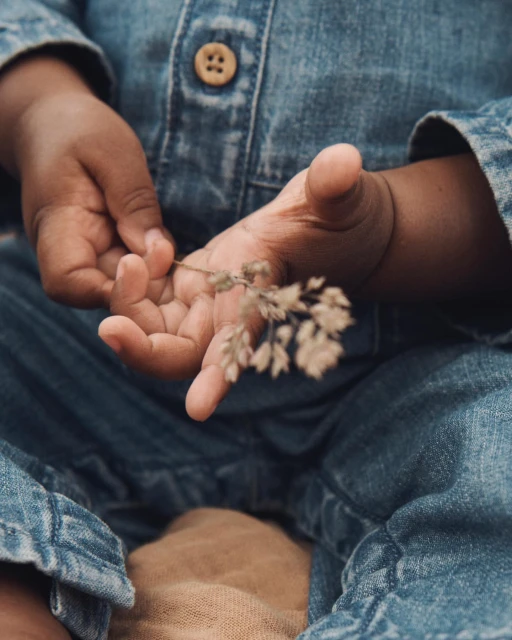Close up of a toddler's hands holding a small sprig of dried grass, wearing a blue denim romper.  Soft, neutral lighting.