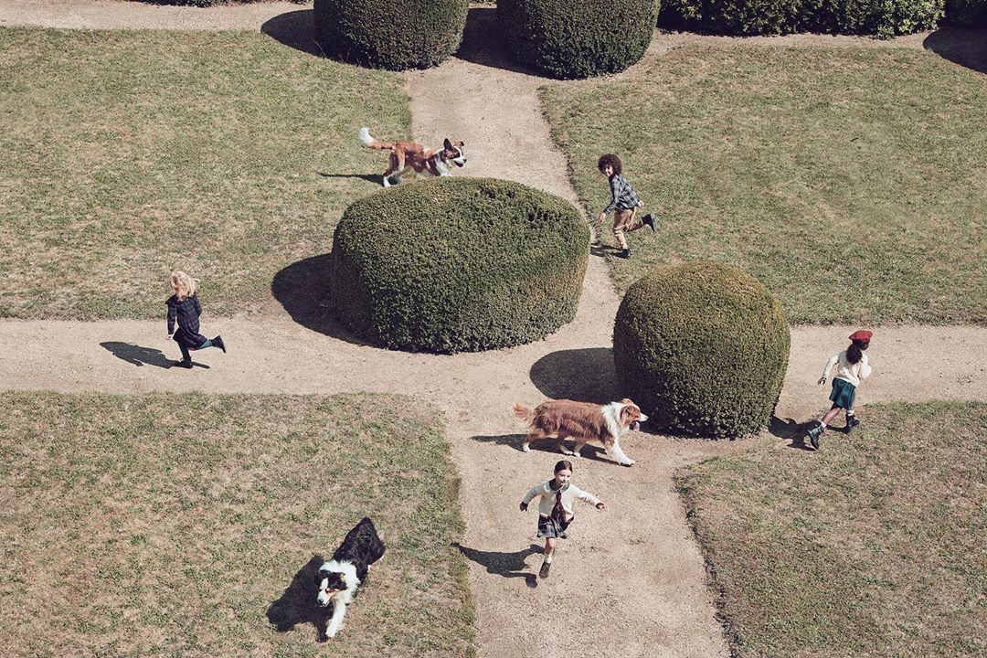 High-angle view of children and dogs running on a path through a garden with round bushes on a sunny day. Childhood, pets, and nature.