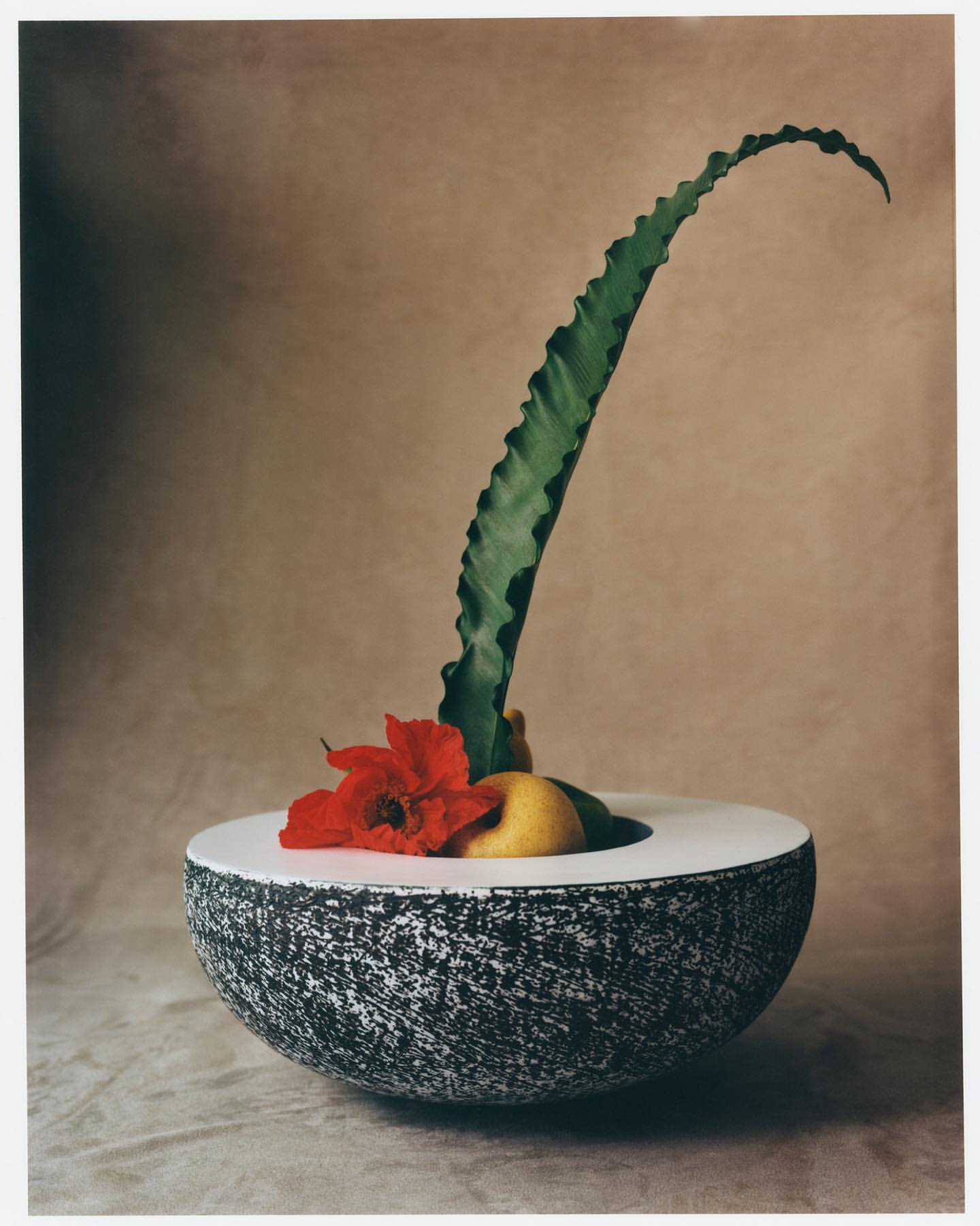 Stylized still life of a black-and-white textured bowl containing a red flower and fruit, with a tall green plant on a neutral background.