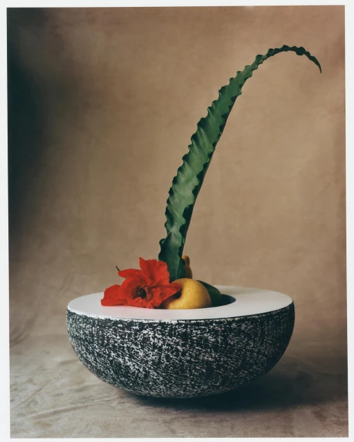 Stylized still life of a black-and-white textured bowl containing a red flower and fruit, with a tall green plant on a neutral background.