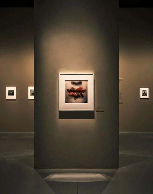 Interior view of an art gallery featuring a framed photograph of a face with red elements, lit by spotlighting on a neutral wall.