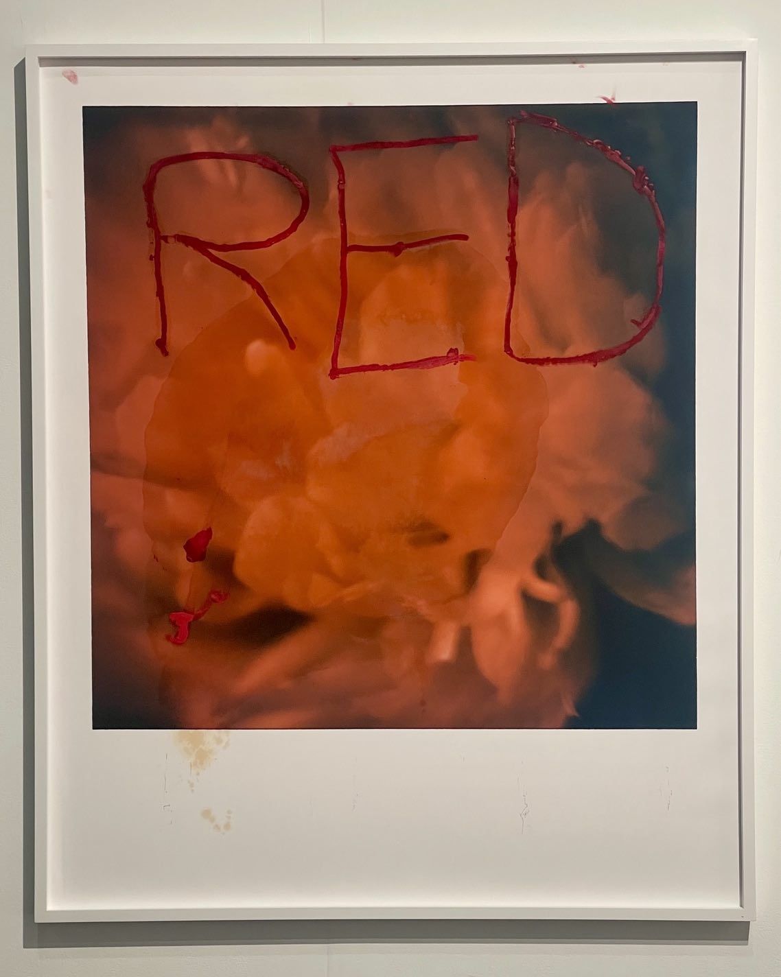 Art photograph of orange flower with 'RED' text overlay in bold red, framed in white, blending nature with graphic design elements.