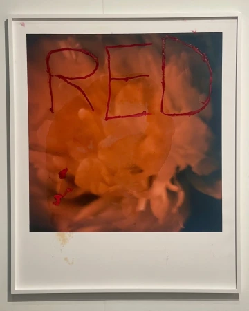 Art photograph of orange flower with 'RED' text overlay in bold red, framed in white, blending nature with graphic design elements.
