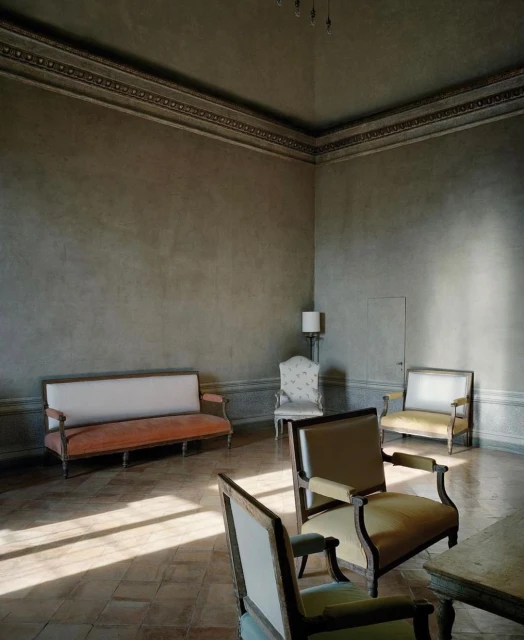 Elegant room interior with antique furniture bathed in natural light, featuring sofas, chairs, and architectural details in gray tones.