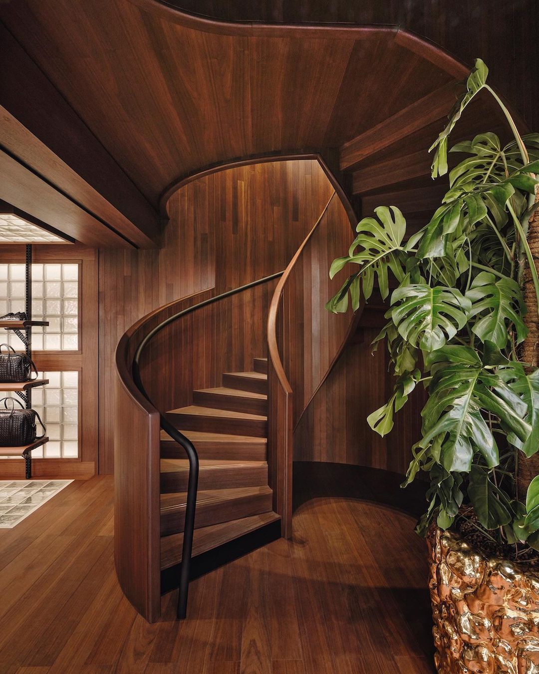 Interior view of a curved wooden staircase surrounded by matching wood paneling and a large potted monstera plant adding a touch of green.