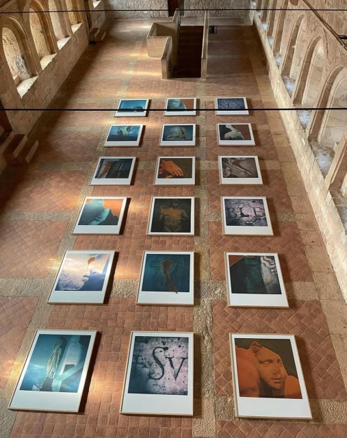 Art gallery exhibition: twenty framed prints arranged in rows on a terracotta-tiled wall, viewed from a high angle, bathed in natural light.