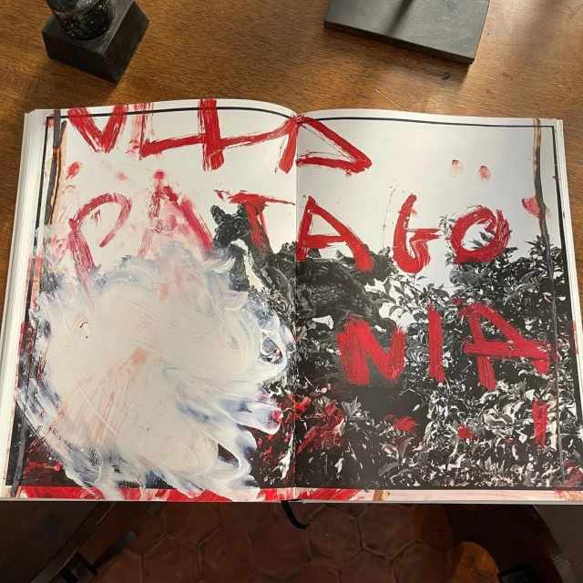 Open book displays an image with red painted text 'Patagonia' over an outdoor scene and an abstract white painted section.