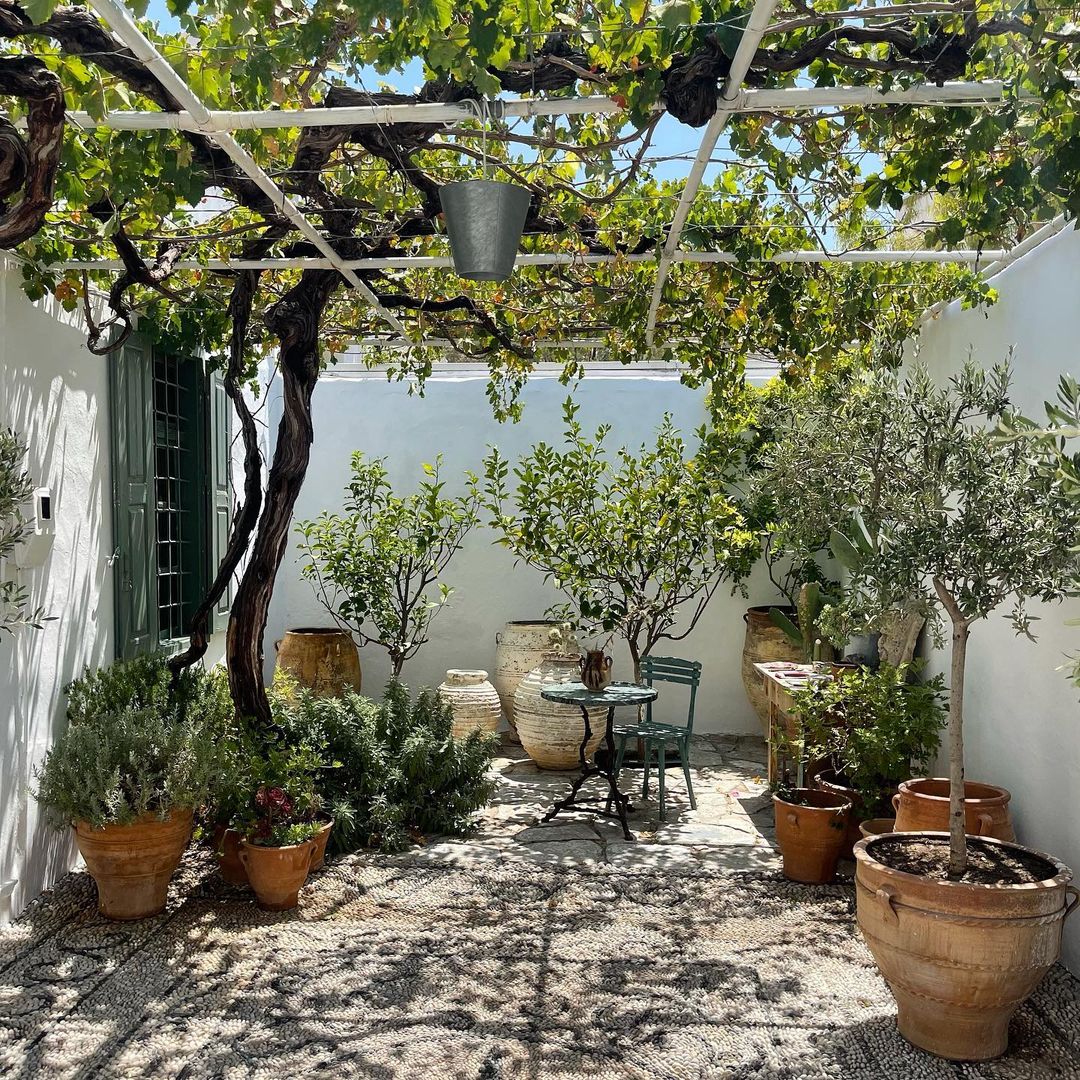 Outdoor courtyard with pebble ground and lush greenery, including trees, bushes, potted plants, climbing vines, and an outdoor seating area.