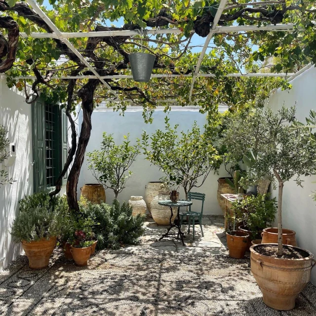 Outdoor courtyard with pebble ground and lush greenery, including trees, bushes, potted plants, climbing vines, and an outdoor seating area.
