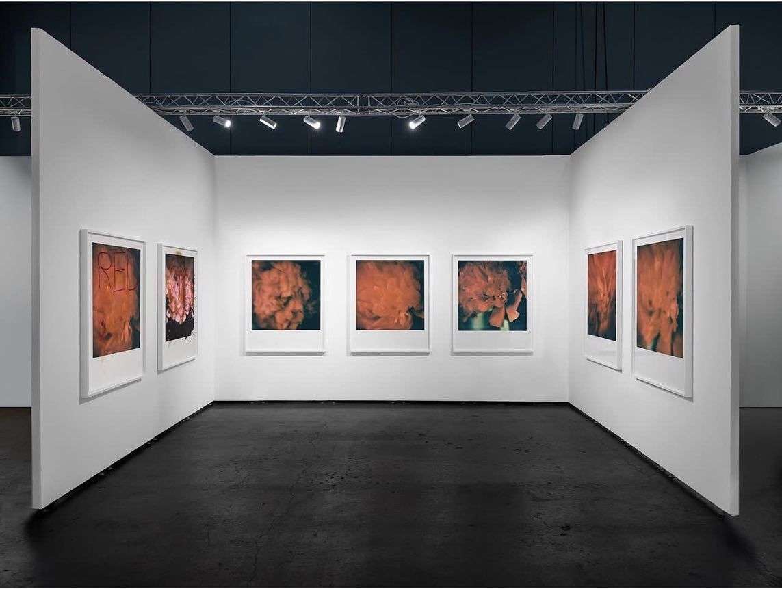 Interior view of an art gallery with framed photographs hanging on white walls, featuring black flooring and track lighting.