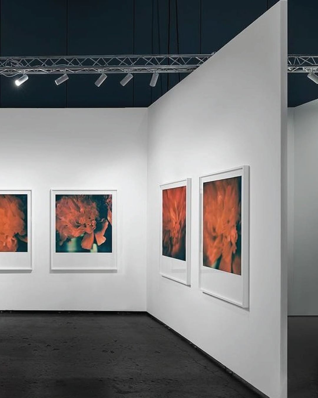 Interior of a modern art gallery exhibiting large, framed floral photographs on white walls with black flooring and track lighting.