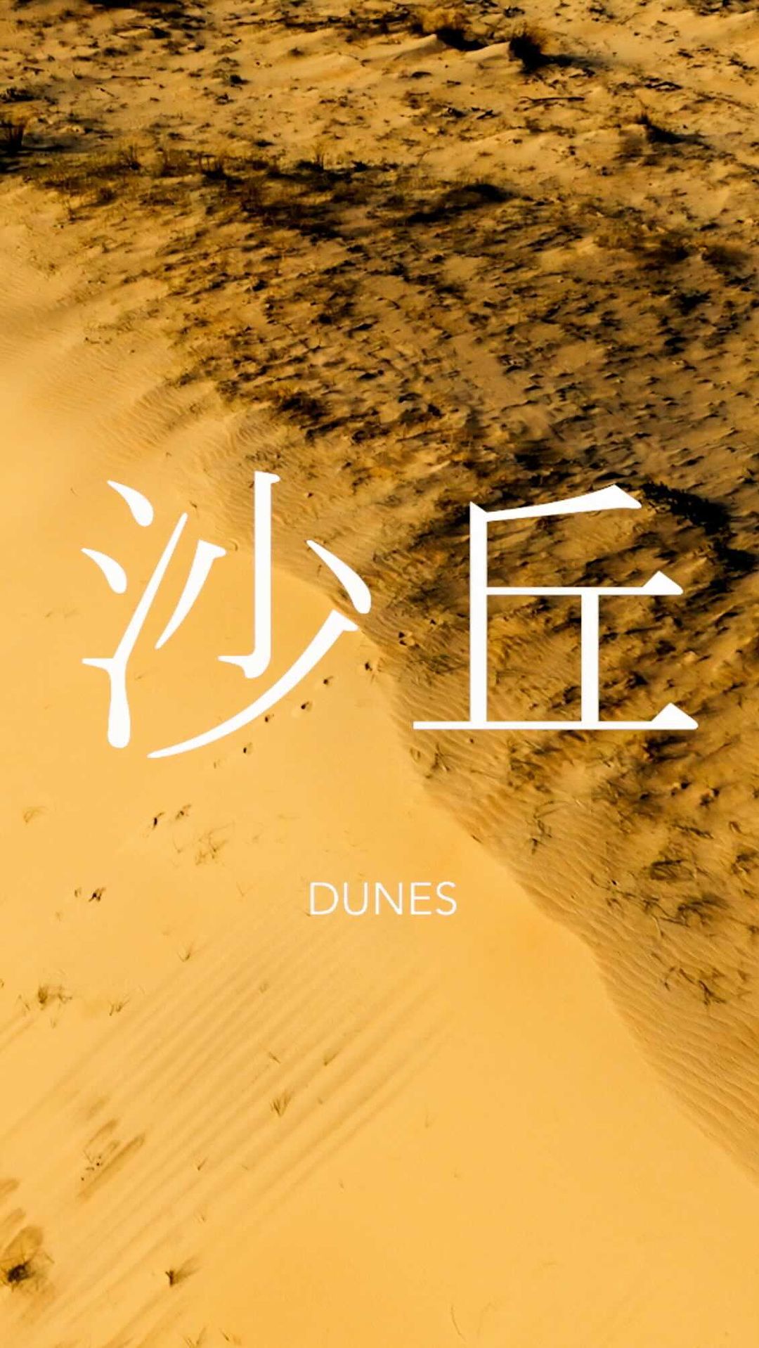 Tan sand dunes create a textured landscape with linear patterns and natural light and shadow. The image features white Chinese text overlay.
