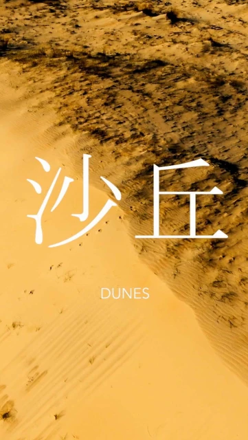 Tan sand dunes create a textured landscape with linear patterns and natural light and shadow. The image features white Chinese text overlay.