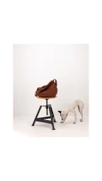 Brown leather handbag resting on a studio stool with a white dog on a leash beside it
