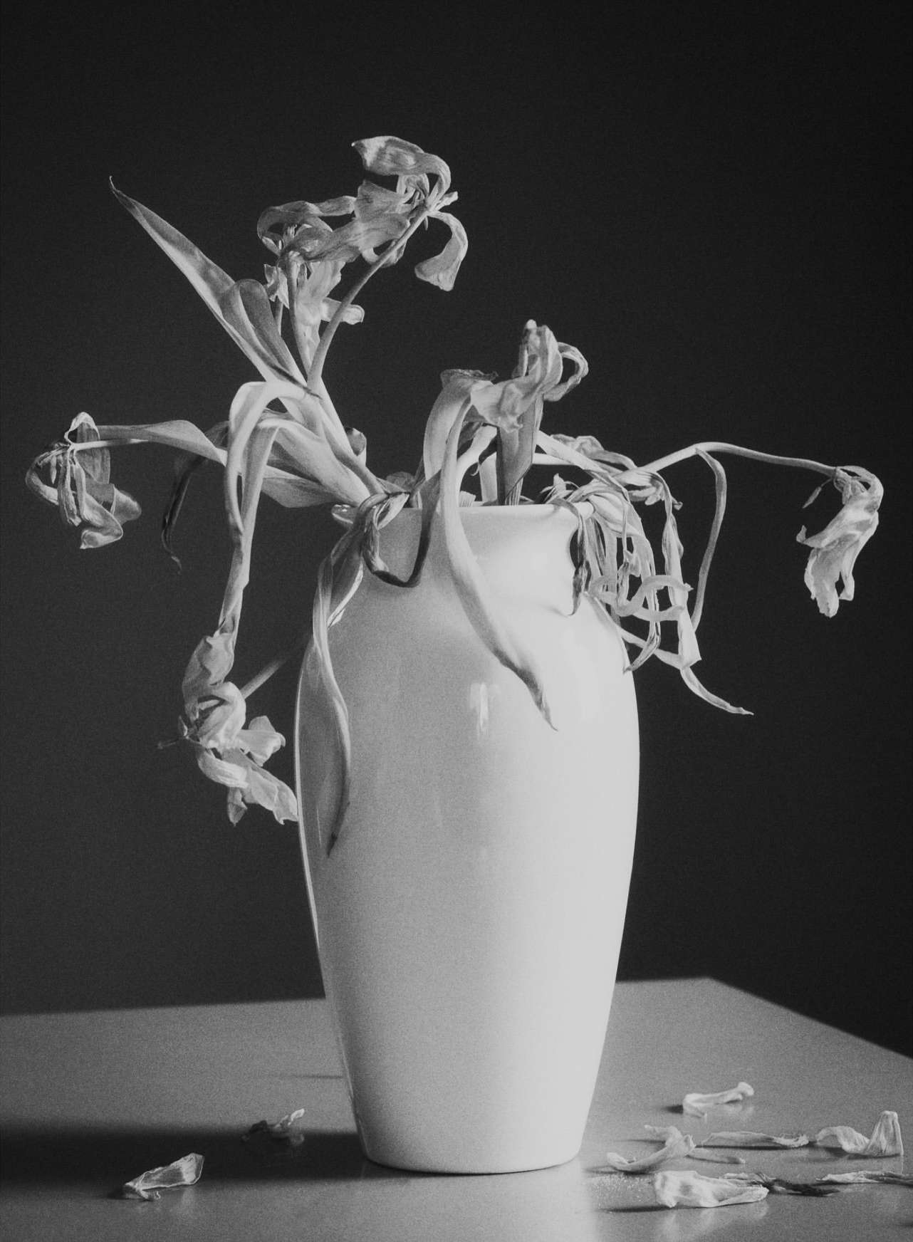 Still life photograph of a white vase filled with wilted tulips on a table against a dark background, capturing a sombre mood.