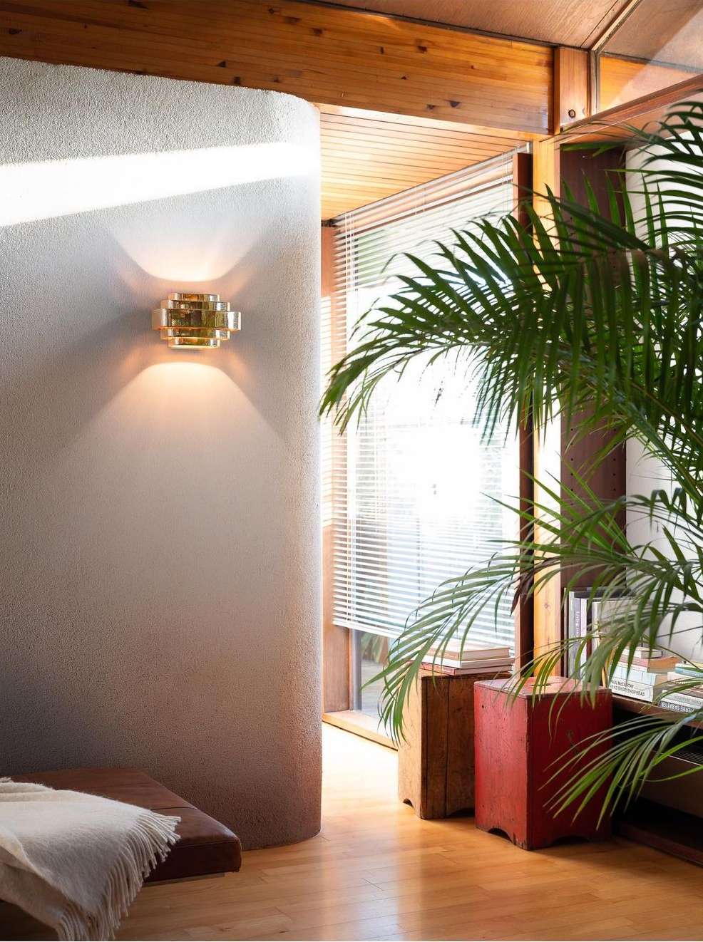 Interior view with a warm-toned wall sconce illuminating a textured wall, complemented by natural light and indoor plants.