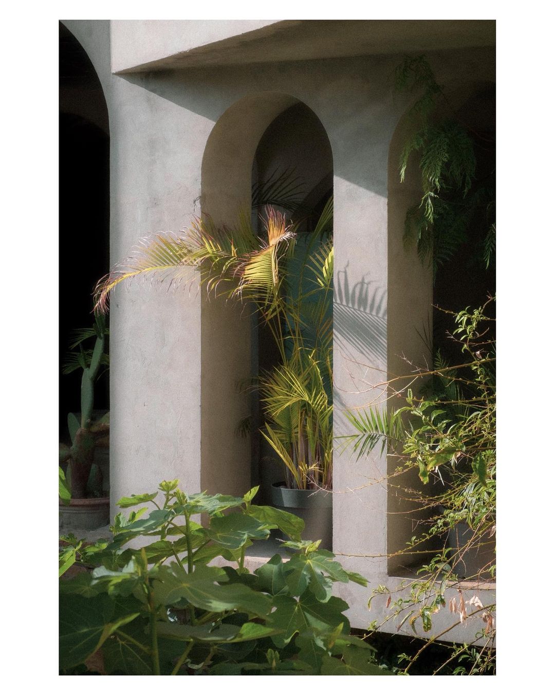 Architectural detail of a concrete building with arched openings, showcasing tropical plants and greenery inside the building.