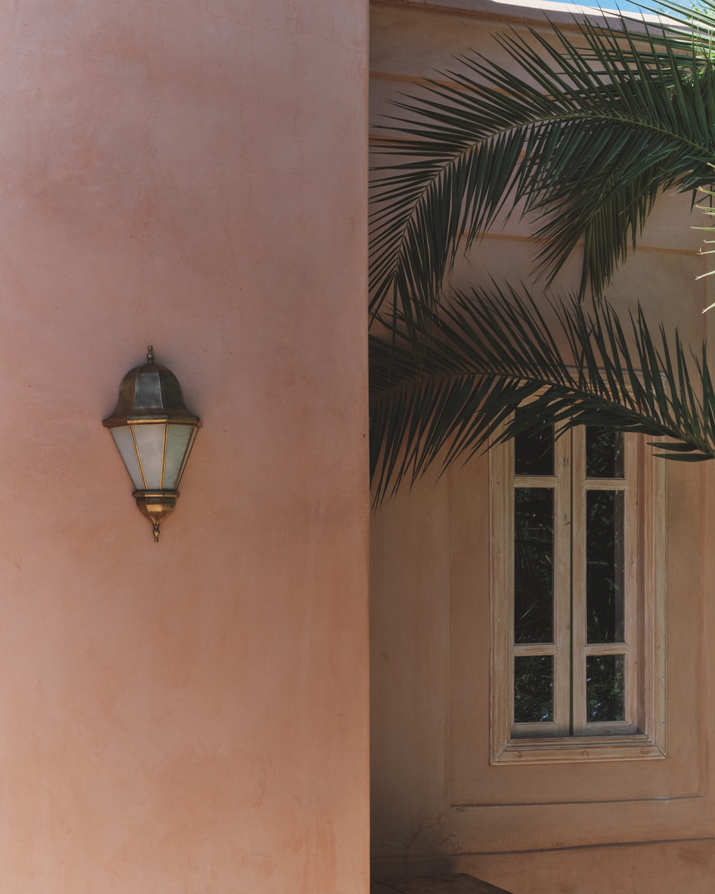 Architectural image featuring an outdoor wall with a lamp, a palm frond, and a window, showcasing texture and natural light.