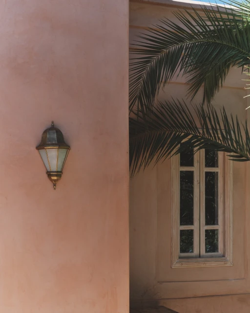 Architectural image featuring an outdoor wall with a lamp, a palm frond, and a window, showcasing texture and natural light.