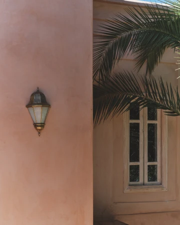Architectural image featuring an outdoor wall with a lamp, a palm frond, and a window, showcasing texture and natural light.