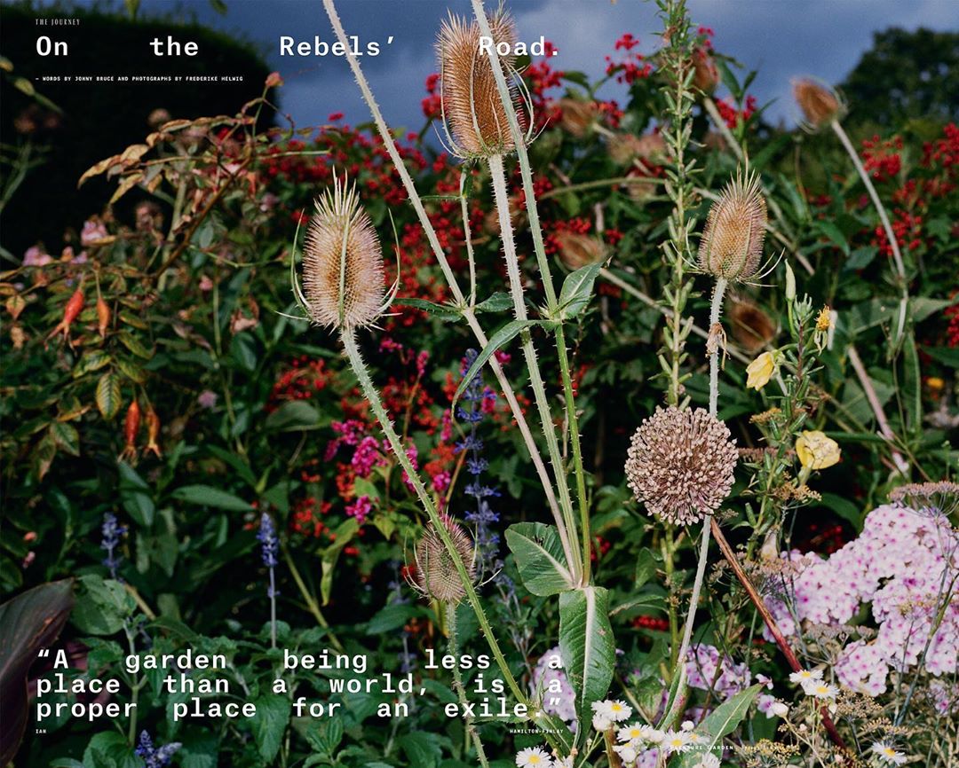 Thistles and various flowers fill the frame, vibrant and diverse in color and shape, with text overlay on a magazine page.