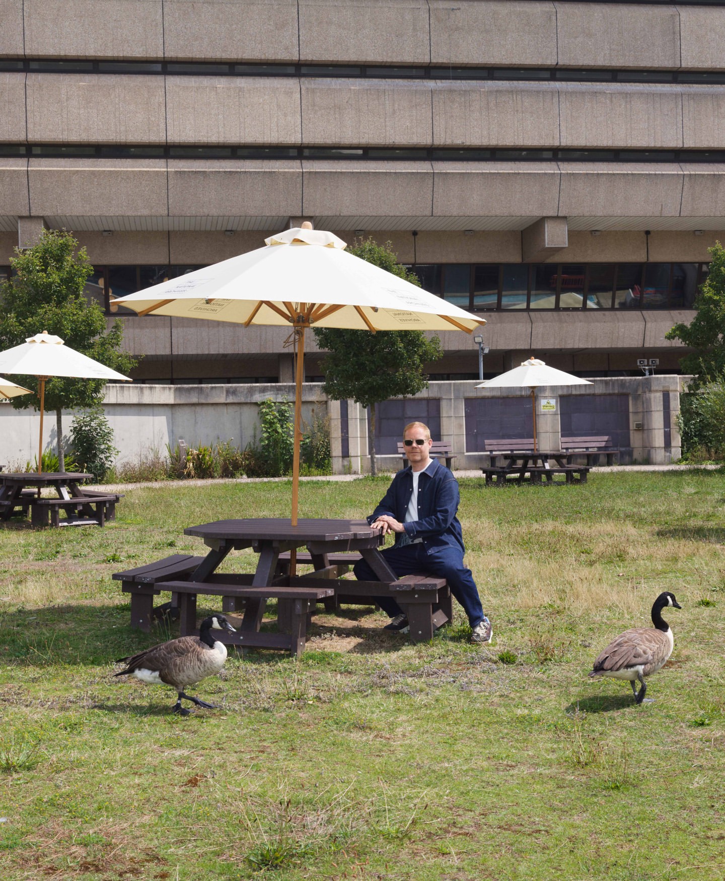 Man sits at a picnic table with an umbrella in a grassy park, two Canada geese nearby, and a stone building behind him in daylight.