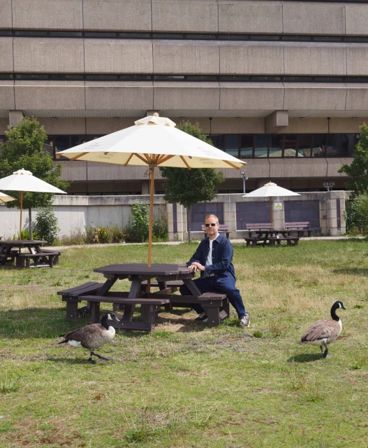 Man sits at a picnic table with an umbrella in a grassy park, two Canada geese nearby, and a stone building behind him in daylight.