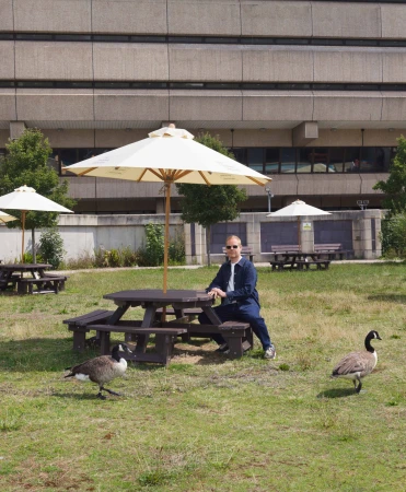 Man sits at a picnic table with an umbrella in a grassy park, two Canada geese nearby, and a stone building behind him in daylight.
