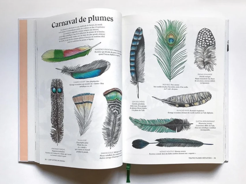 Frédérique Vernillet