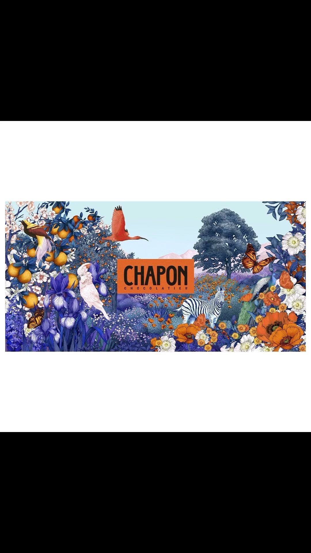 Colorful illustration of a tropical landscape with birds, butterflies, plants, flowers, and a zebra, featuring the Chapon Chocolatier logo.