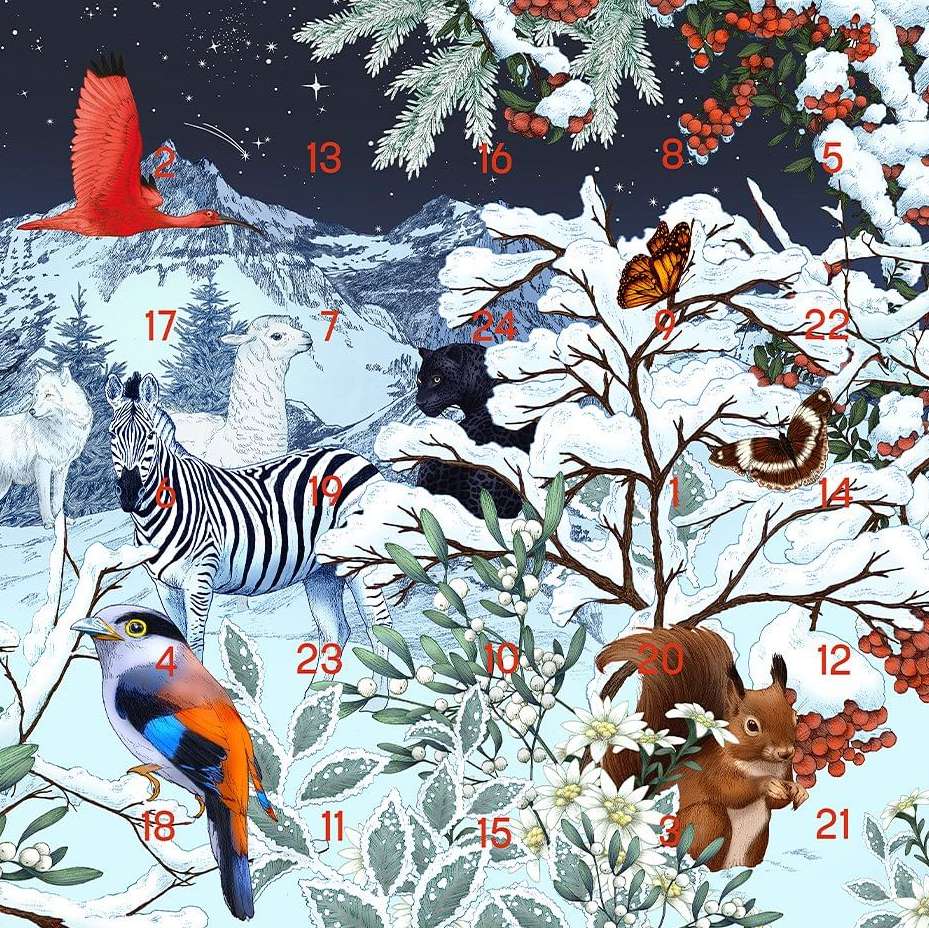 Illustration of a winter scene with a zebra, parrot, birds, squirrel, butterflies, llama, panther, and wolf among snow-covered branches.
