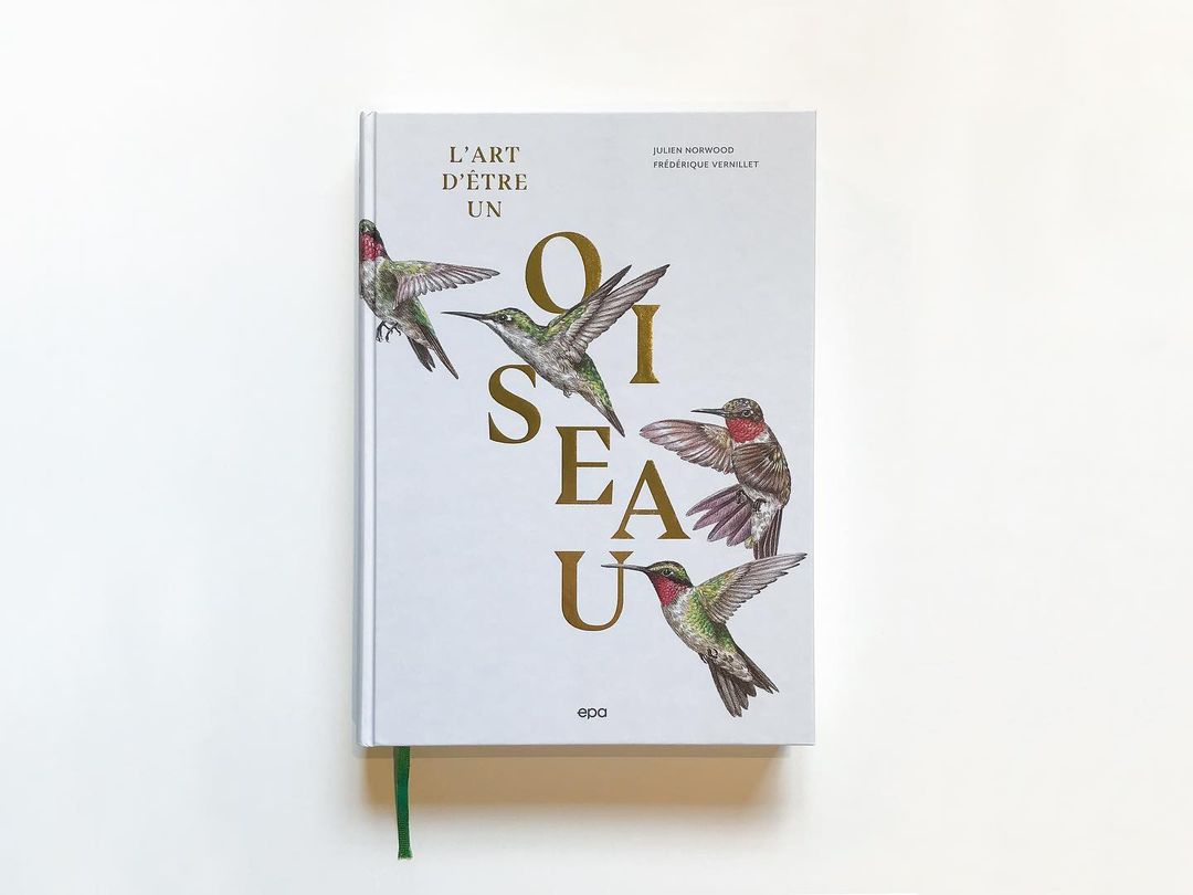 Book cover featuring hummingbird illustrations and the title 'L'ART D'ÊTRE UN OISEAU' (The Art of Being a Bird) on a light background.