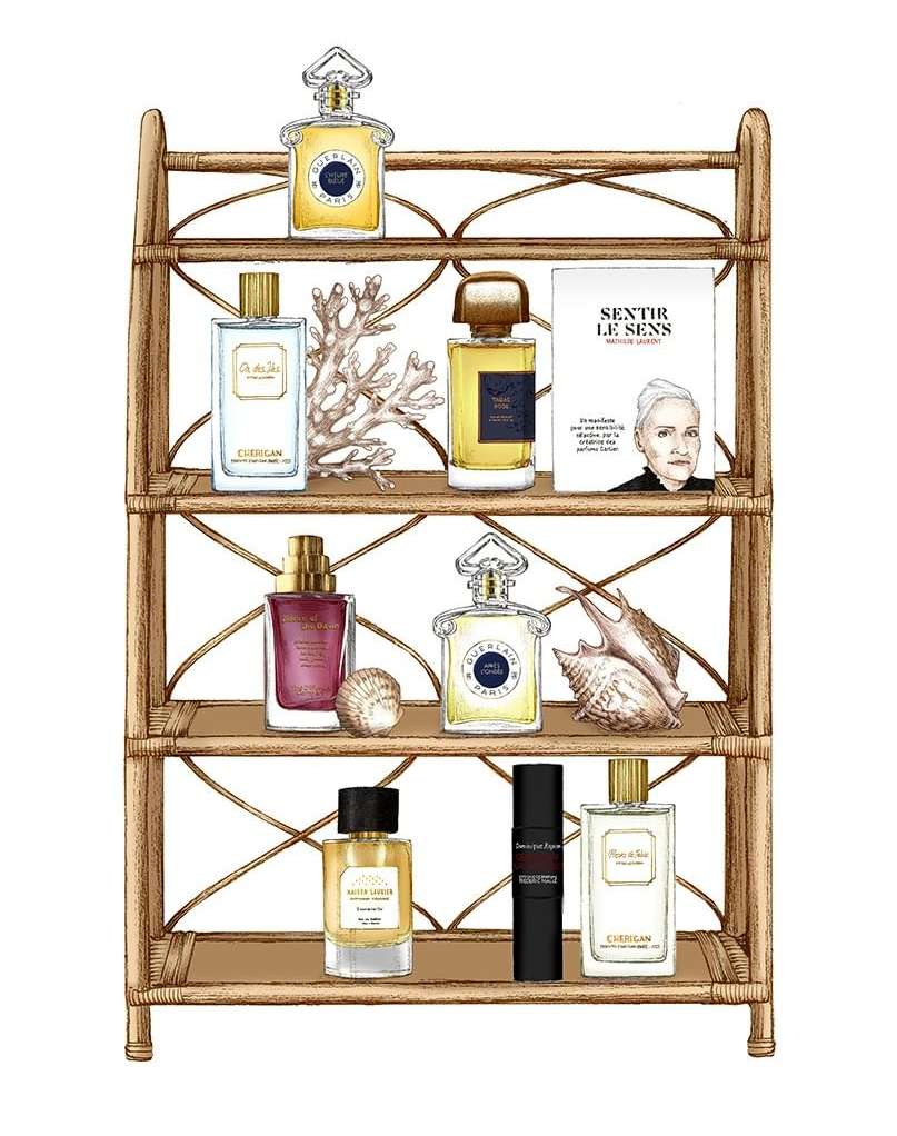 Elegant illustration of perfume bottles arranged on a stylish rattan shelf, showcasing beauty and fragrance products against a white backdrop.