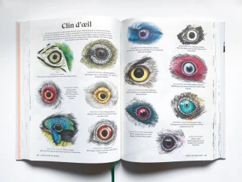 An open illustrated book displaying detailed coloured drawings of various bird eyes with accompanying text captions.