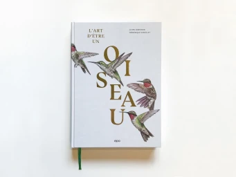 Hardcover book titled L'art d'etre un oiseau featuring detailed hummingbird illustrations and gold foil typography on a white background