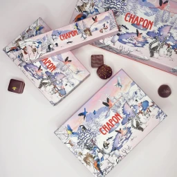 Top-down flat lay view of several rectangular illustrated chocolate boxes with winter animal scenes and loose chocolates on a white surface.