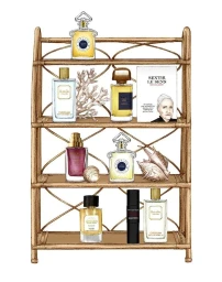 Illustration of a four-tier wooden rattan shelf displaying multiple perfume bottles and decorative seashells in Paris.