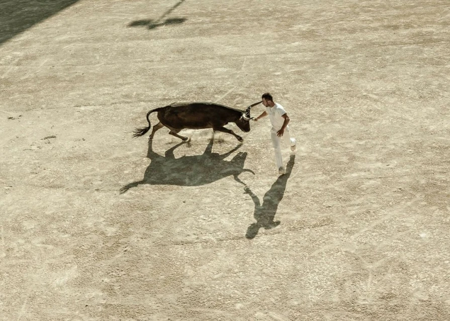 Bull and matador in a dirt arena from above; the bull faces left while the man in white runs in the opposite direction.
