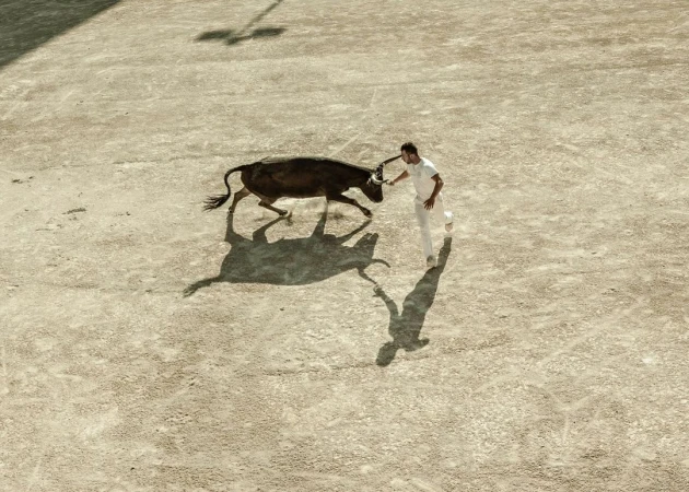 Bull and matador in a dirt arena from above; the bull faces left while the man in white runs in the opposite direction.