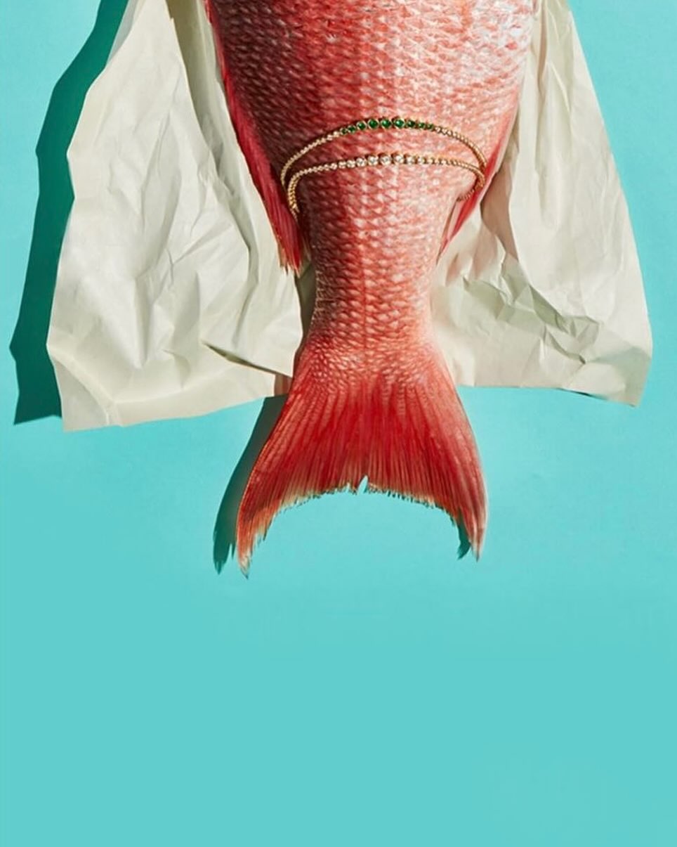 Overhead shot of redfish tail on white paper, decorated with two gold bracelets against a bright blue backdrop, fashion-forward aesthetic.