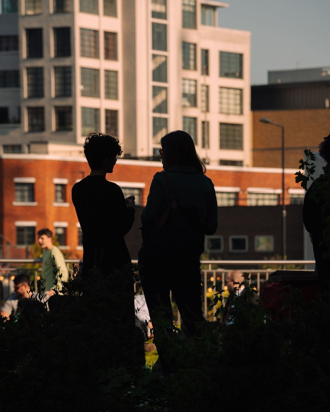 Silhouetted figures converse near city buildings, captured at eye-level. Lush greenery frames the foreground, highlighting the outdoor urban setting.
