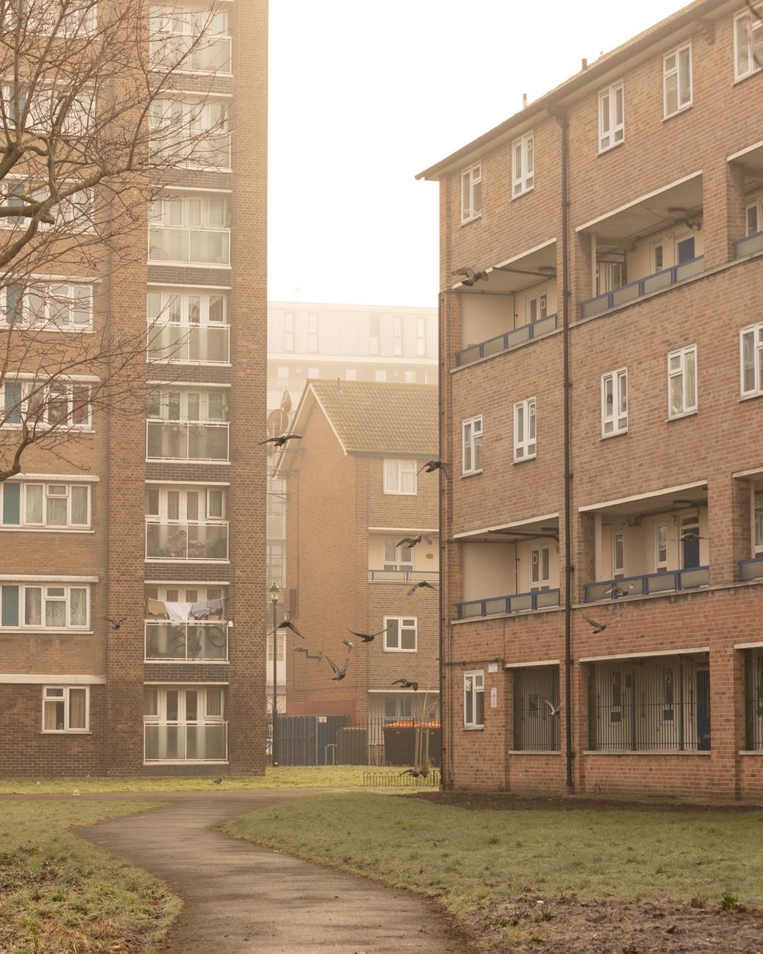 Urban landscape featuring brick apartment buildings, green space, a curving footpath, and flock of birds in flight on a foggy day.