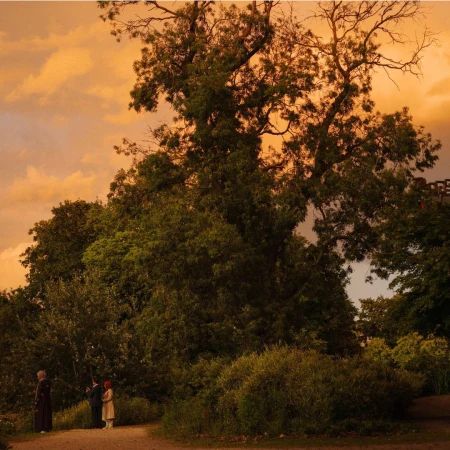 Three people on a path near a large tree with orange sky. The image shows figures outdoors in nature with lush greenery.