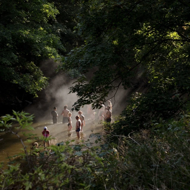 Group of people wading in a shallow river surrounded by dense forest with sunlight streaming through the trees, creating a hazy effect.