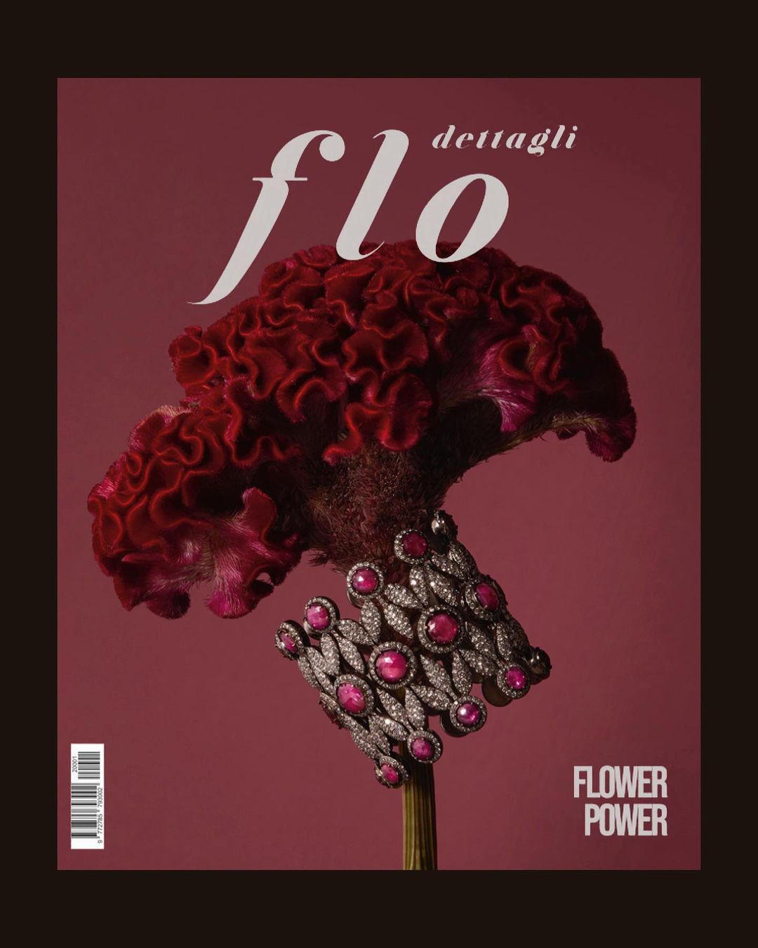 Elegant magazine cover featuring a deep red cockscomb flower juxtaposed with a diamond and ruby bracelet on a muted red background.