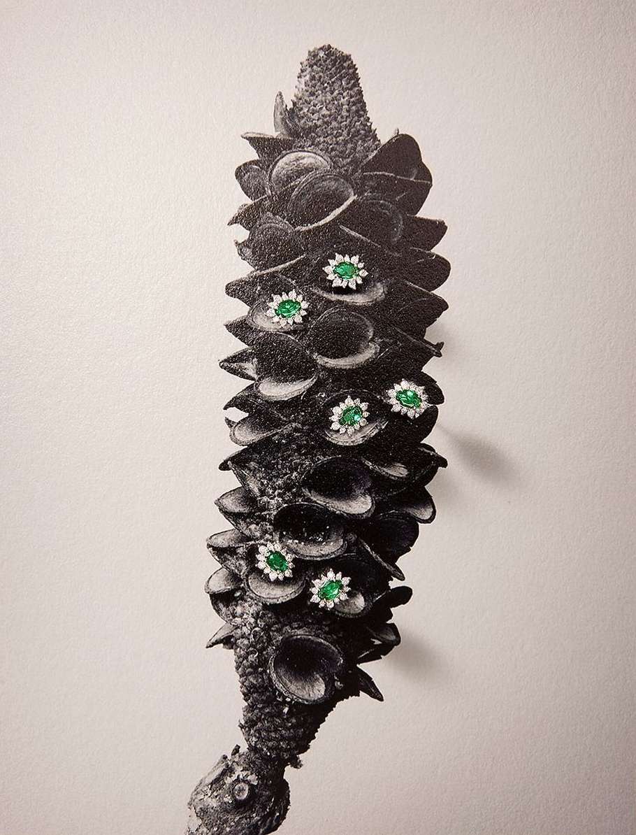 Close-up of a brown banksia flower spike with green and white jewel embellishments against a white backdrop, capturing botanical art.