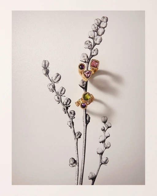 Gold rings with gemstones displayed on a sketched floral sprig against a white background in a studio lighting, jewellery art.