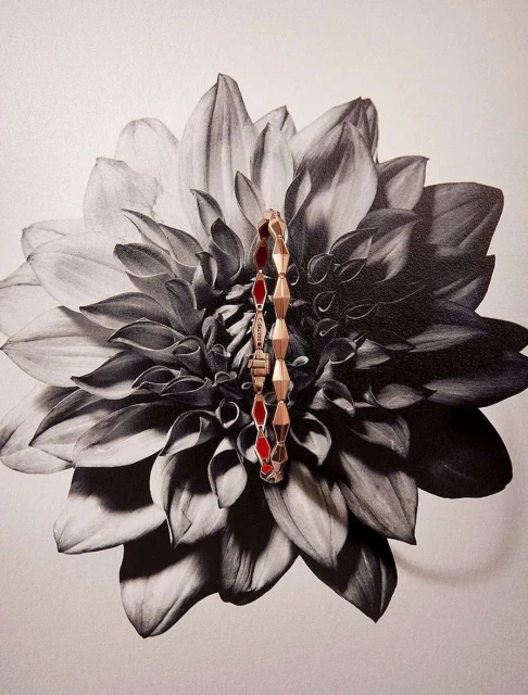 Close-up studio shot of a gold and red beaded bracelet against a black and white floral background, jewellery advertisement.