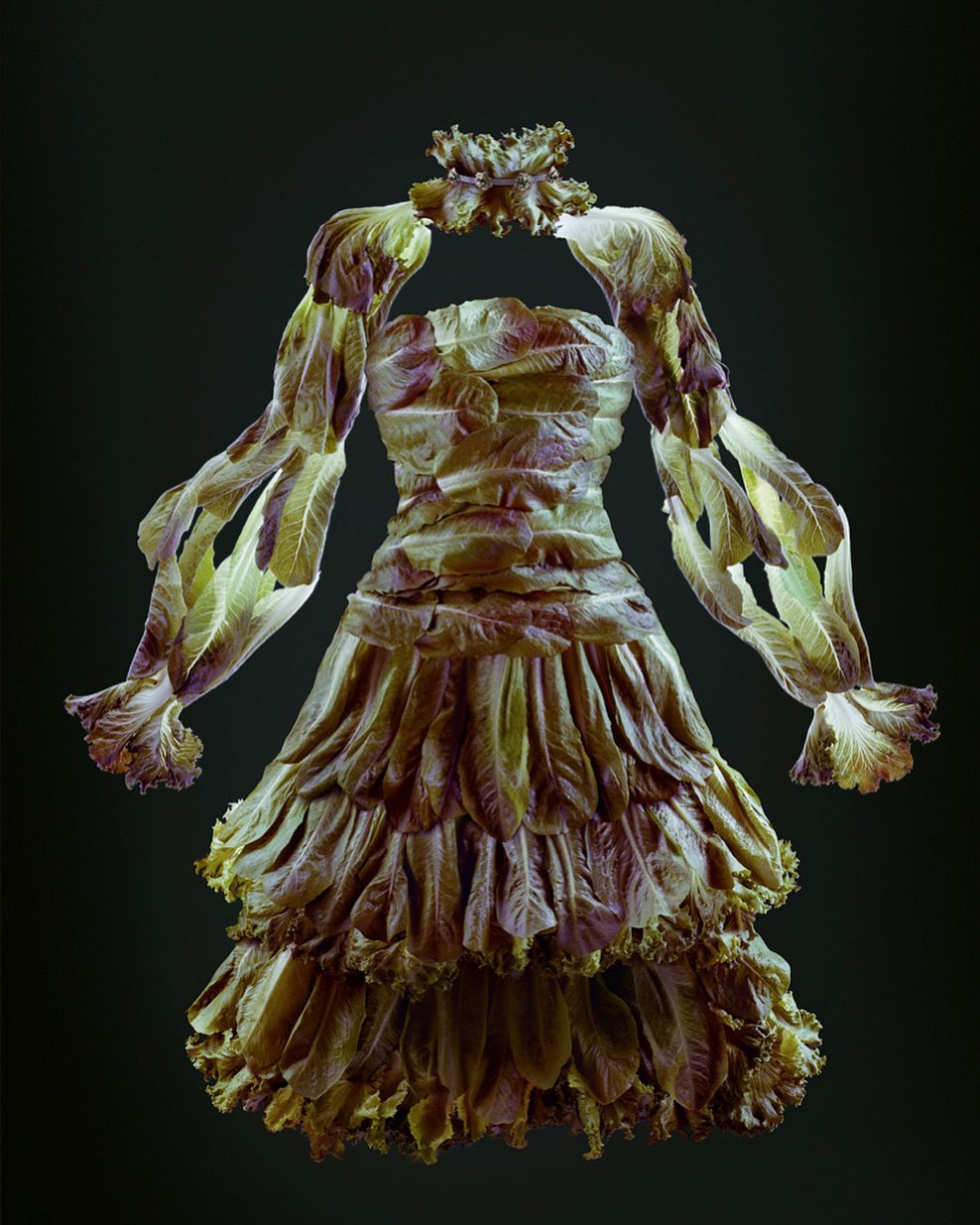Lettuce dress on a black background. The dress has long sleeves and a tiered skirt, and it's made entirely of lettuce leaves.